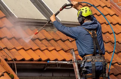 Démoussage et hydrofuge de toiture à Mondon